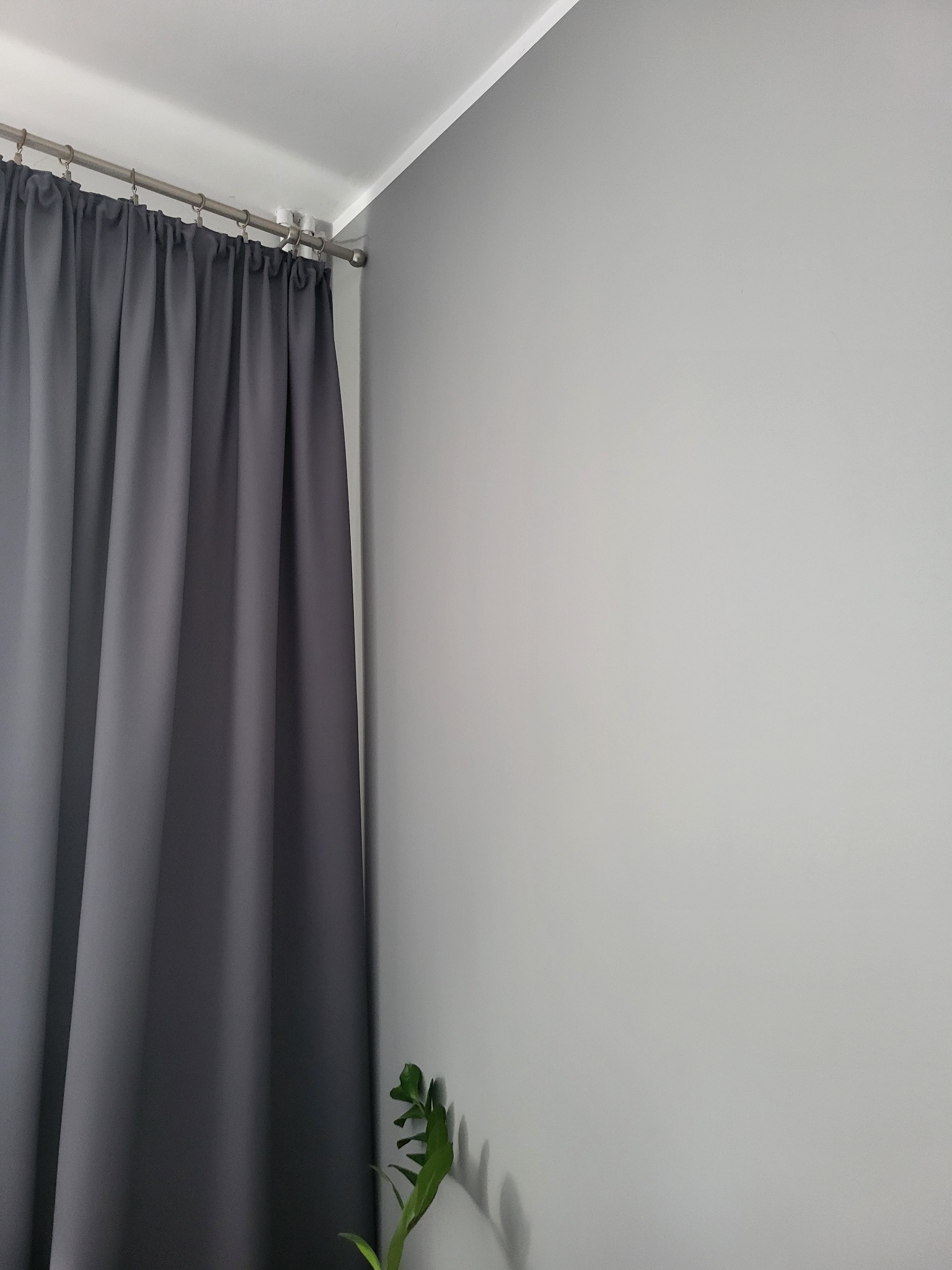 Szara ściana po malowaniu z zamontowanym karniszem i zasłoną, minimalistyczny wystrój z rośliną w rogu.