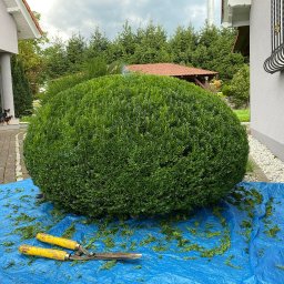 Koszenie trawy Bolesławiec 4