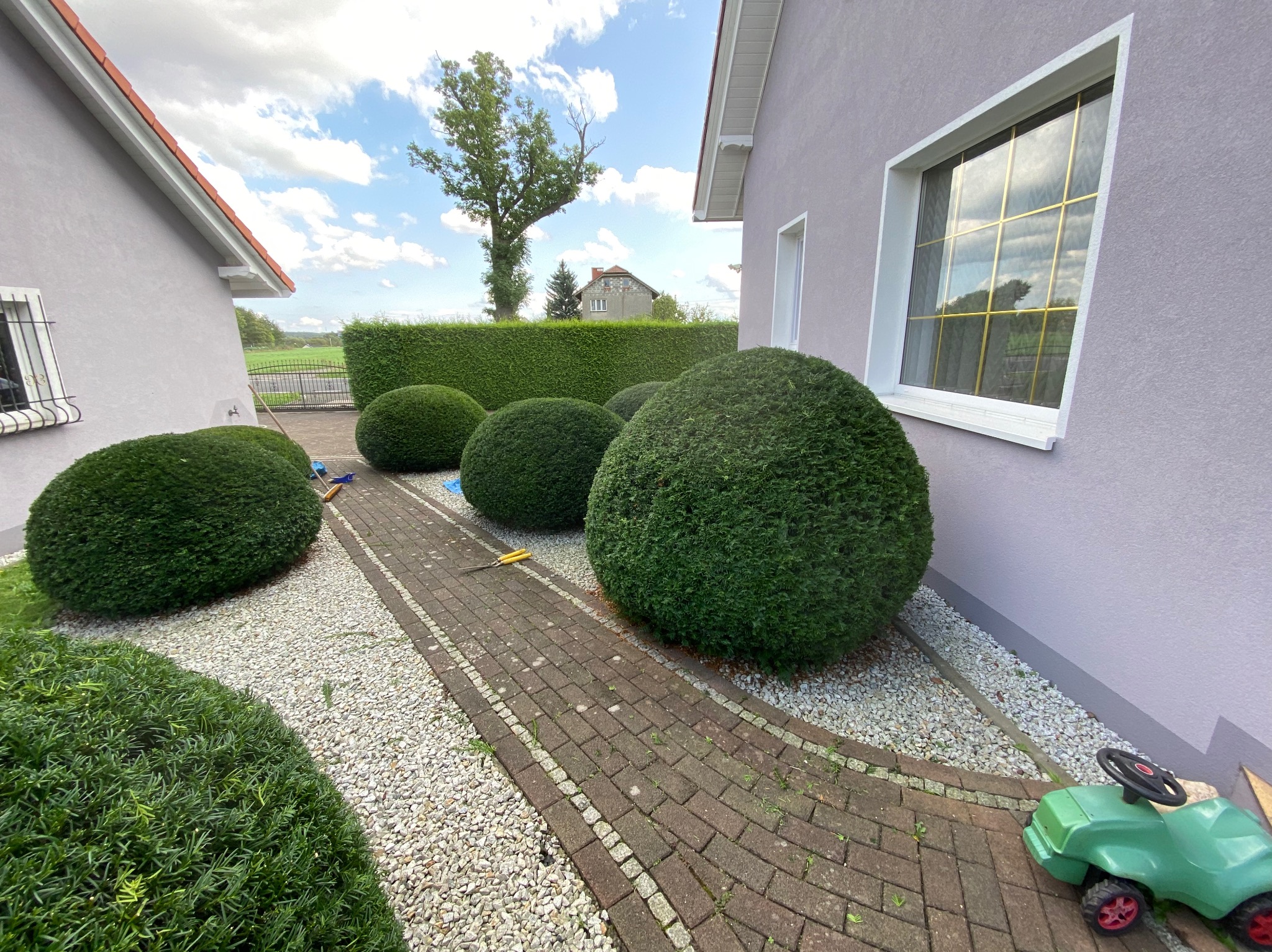 Kształtne, kuliste krzewy bukszpanu w ogrodzie przy domu z jasną elewacją, ścieżka z czerwonej kostki brukowej, biały żwir, zabawkowy traktorek w rogu kadru, widoczne narzędzia ogrodnicze.