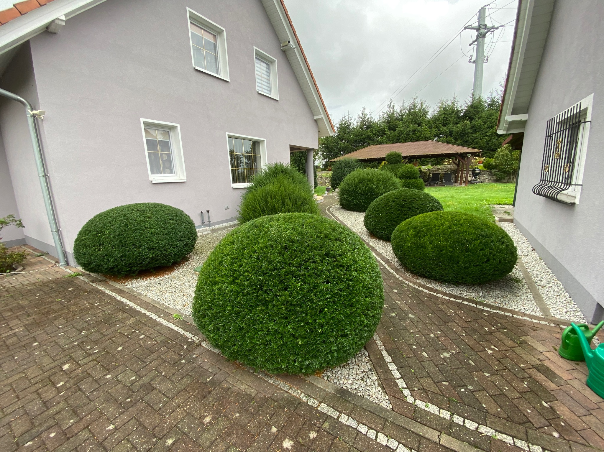 Okrągłe, zielone krzewy ozdobne, uformowane w kule, zdobią ścieżkę z kostki brukowej w Bolesławcu. W tle widoczny budynek z szarą elewacją i drewniana altana.