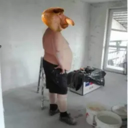 Mężczyzna z głową makaka w niedokończonym pomieszczeniu, obok drabina, wiadra z farbą i narzędzia, podpis: RZEBYM JO WIEDZIAŁ ILE TO JEST, ROBOTY TO BYM SIE NIE WZION KURŁA