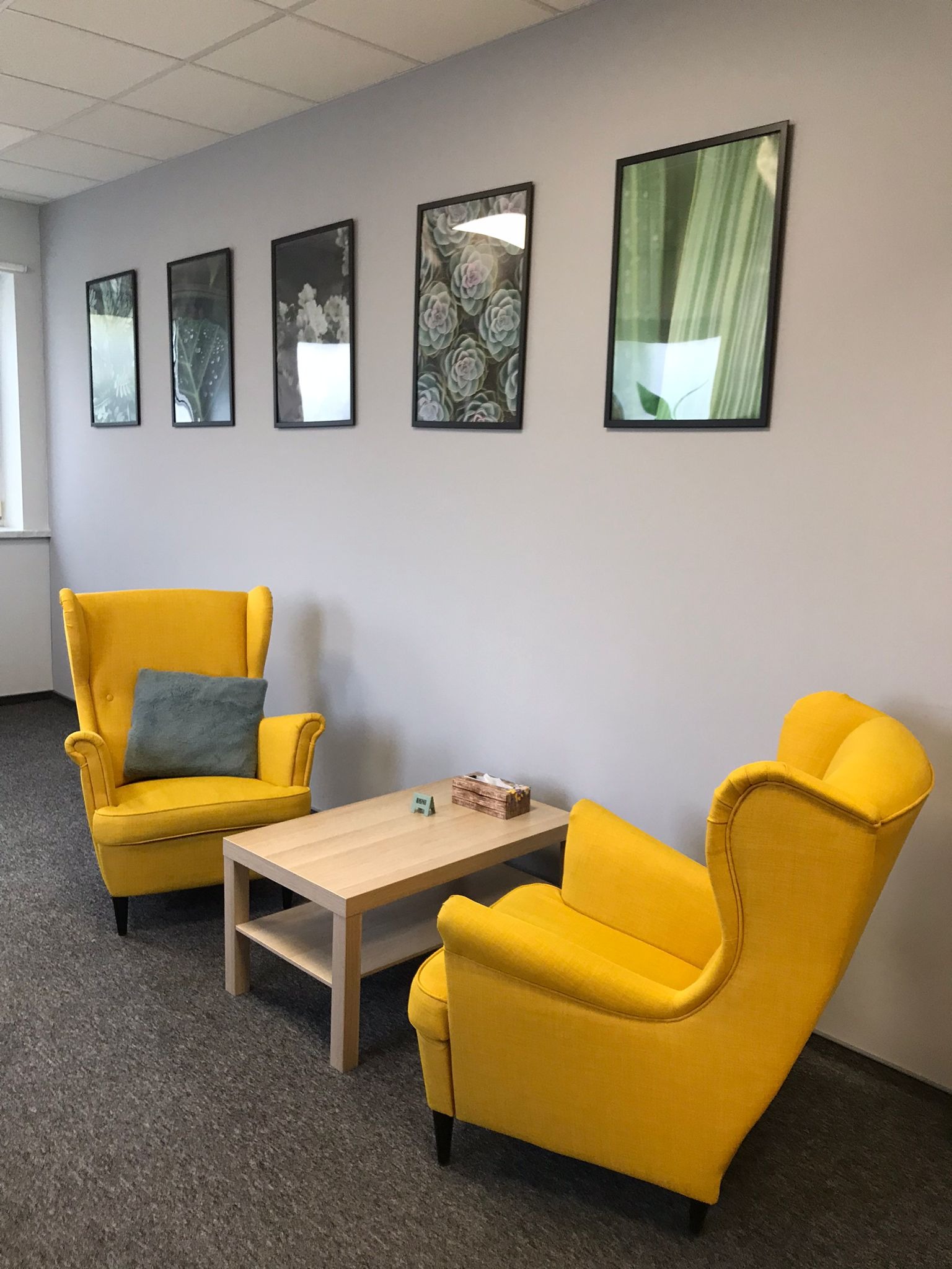 Jasne, nowoczesne wnętrze gabinetu z dwoma żółtymi fotelami typu uszak, drewnianym stolikiem kawowym i serią obrazków z motywami roślinnymi na szarej ścianie.