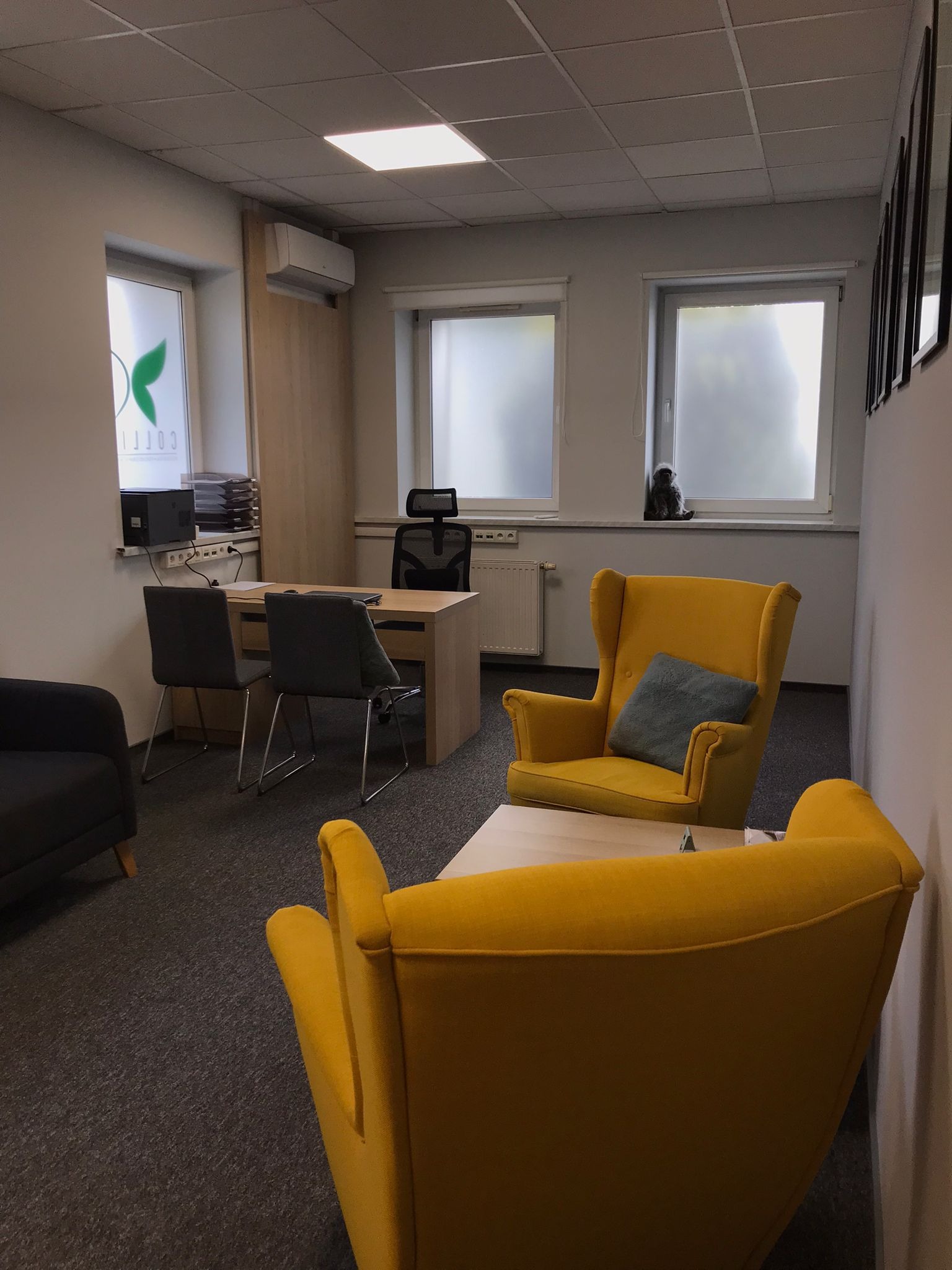 Jasne wnętrze gabinetu z dwoma żółtymi fotelami uszakami, stolikiem kawowym, biurkiem z krzesłami i oknami z przyciemnionymi szybami, na parapecie pluszowa małpka.