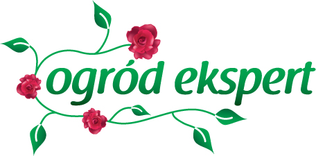 Projektowanie i zakładanie ogrodów, trawnik sianz i z rolki, nawadnianie