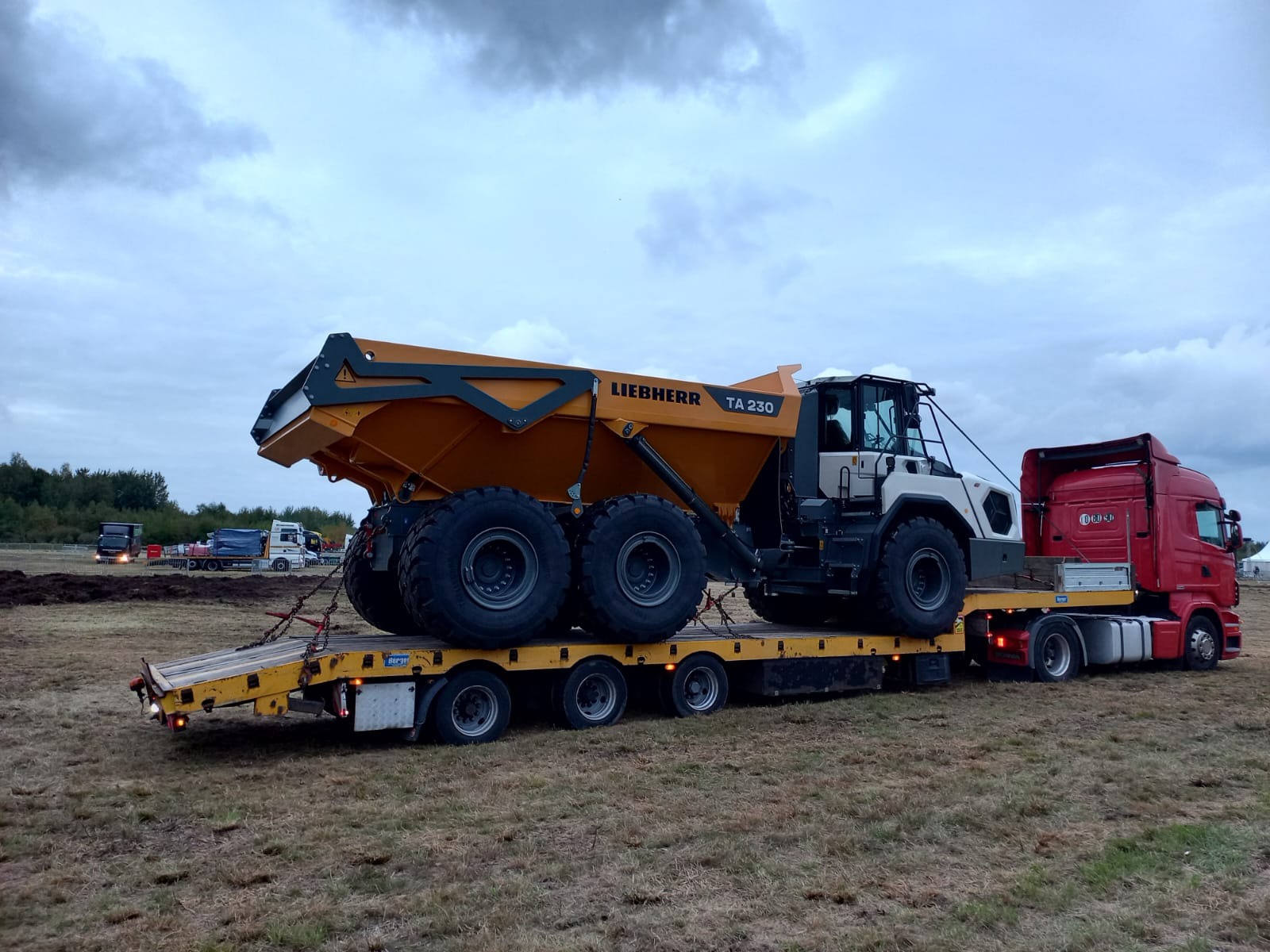 Pomarańczowy wywrotka Liebherr TA 230 zabezpieczona pasami na niskopodwoziowej naczepie ciągniętej przez czerwony ciągnik siodłowy Scania, transportowana po trawiastym terenie.