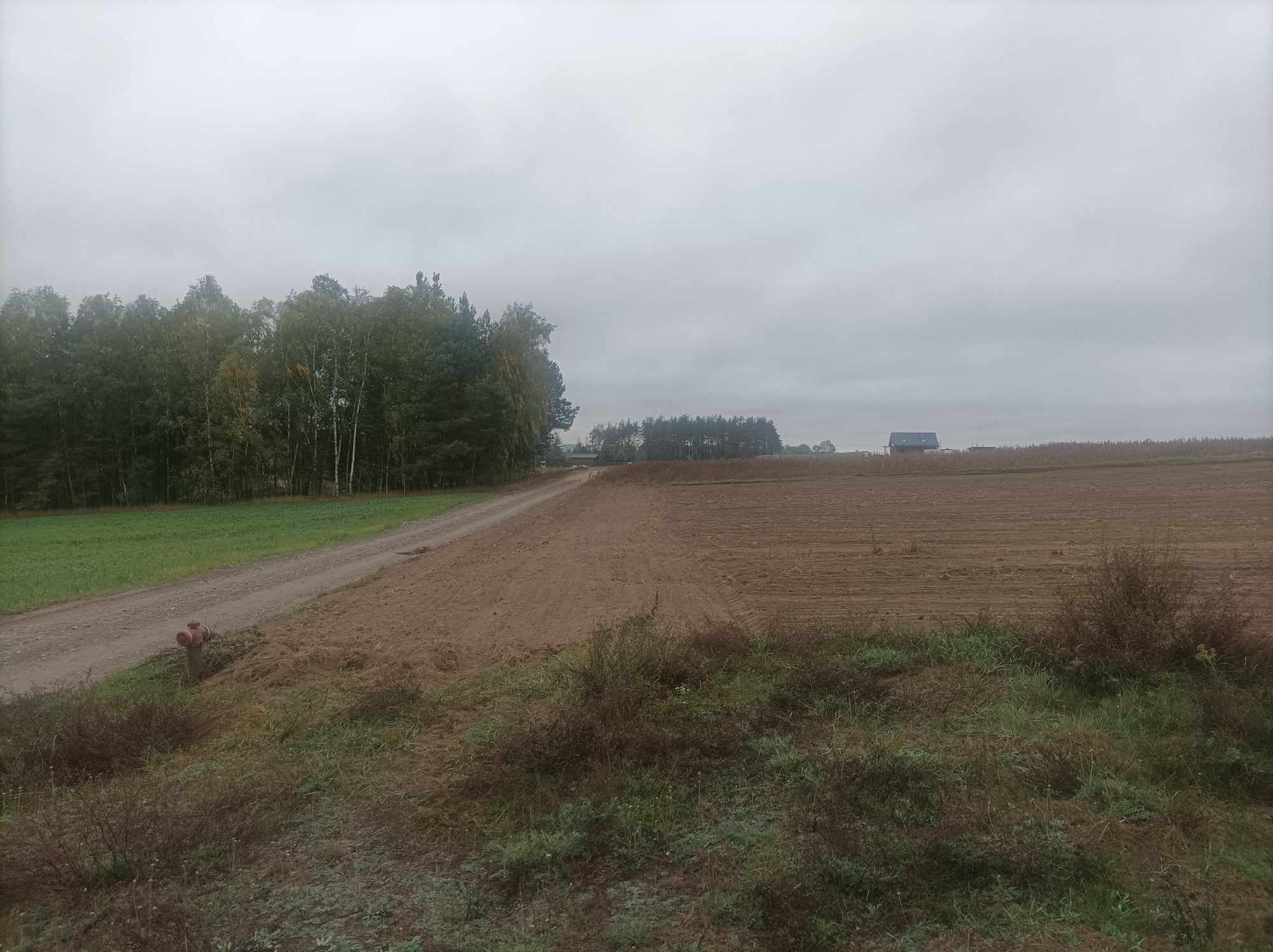 Jesienne pole orne z widocznym hydrantem przeciwpożarowym na skraju i oddalonym budynkiem gospodarczym pod pochmurnym niebem.