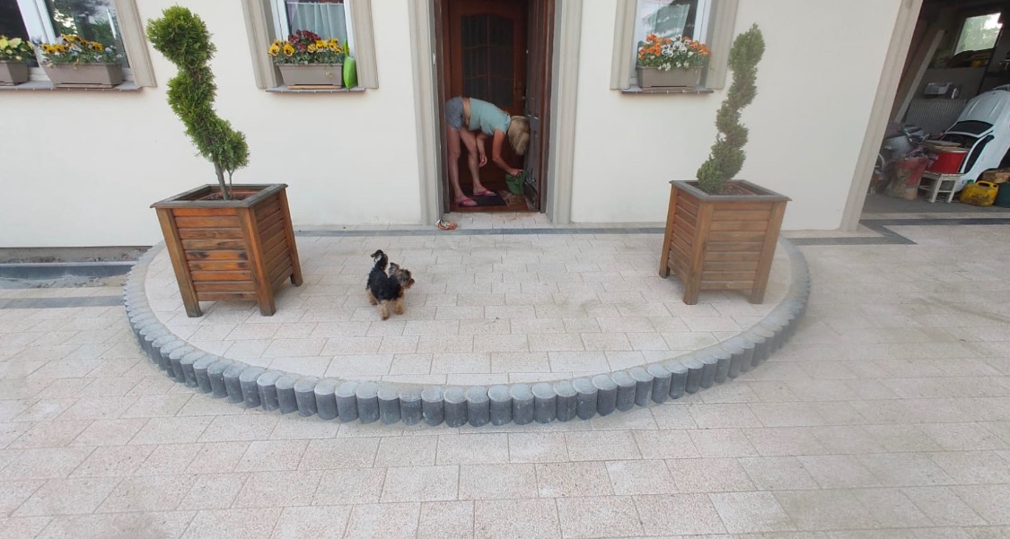 Ułożona kostka brukowa przed domem z donicami z tujami spiralnymi i psem rasy yorkshire terrier; kobieta sprząta w progu drzwi wejściowych.