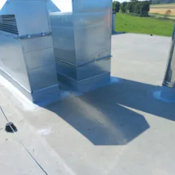 Szare, płaskie pokrycie dachu z dwoma metalowymi, kwadratowymi kominami wentylacyjnymi i jednym okrągłym kominem, wszystkie uszczelnione białą masą, w tle łąka i drzewa.