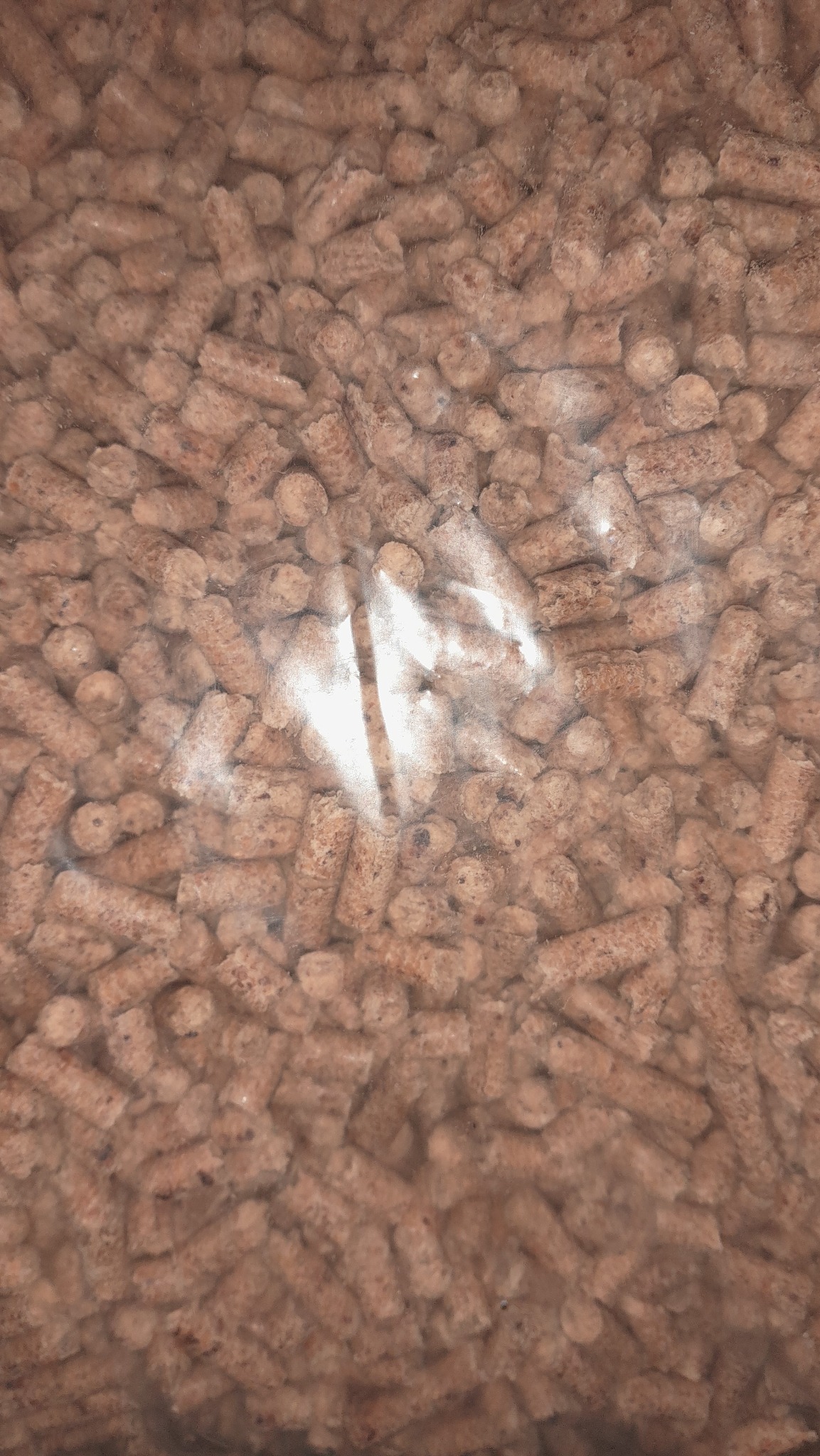 Jasnobrązowe granulki opału, widoczne przez przezroczysty worek foliowy, z wyraźnym odbiciem światła na folii.