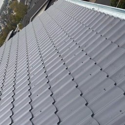 Kolopa extradach.com - Firma Malująca Dachy Łódź