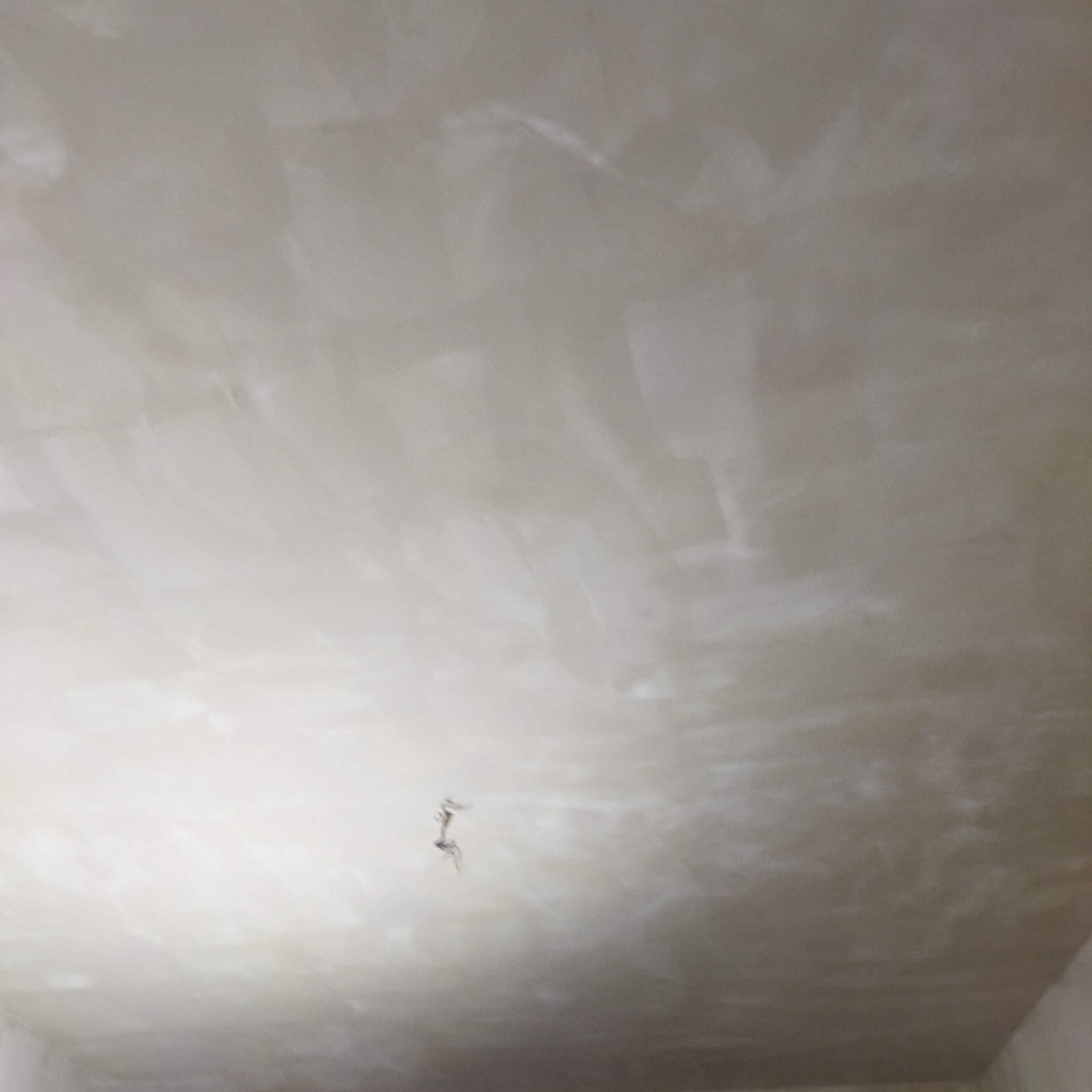 Jasny sufit po nałożeniu gładzi, widoczne delikatne smugi i nierówności faktury, z wiszącymi przewodami elektrycznymi.