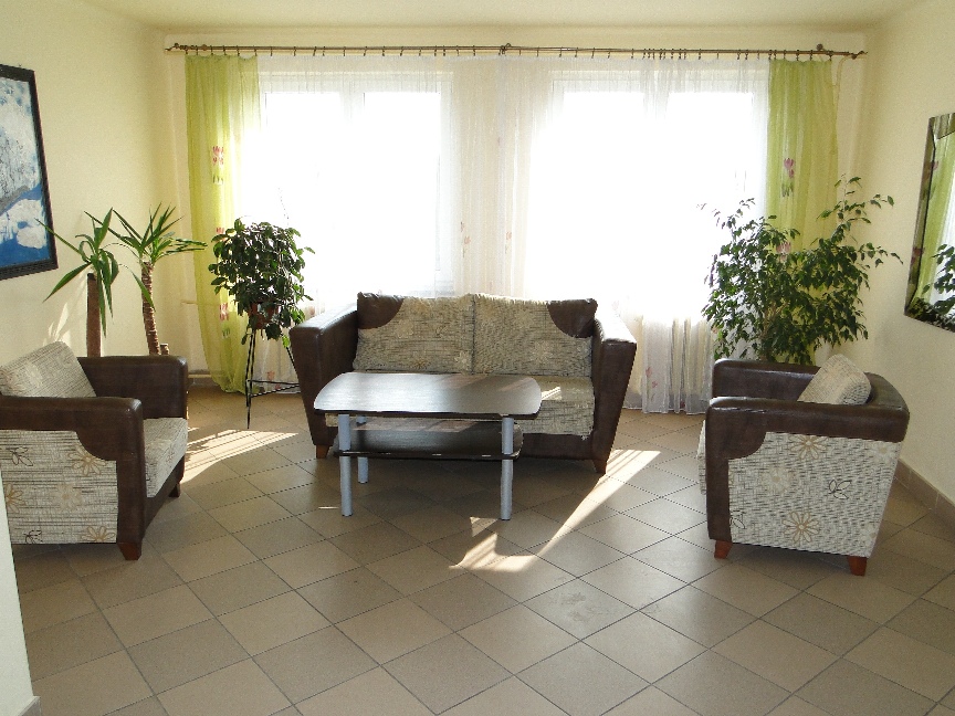 Pokój dzienny z brązowymi fotelami i sofą w kwiaty, stolikiem kawowym, roślinami doniczkowymi i jasnymi zasłonami w oknach.