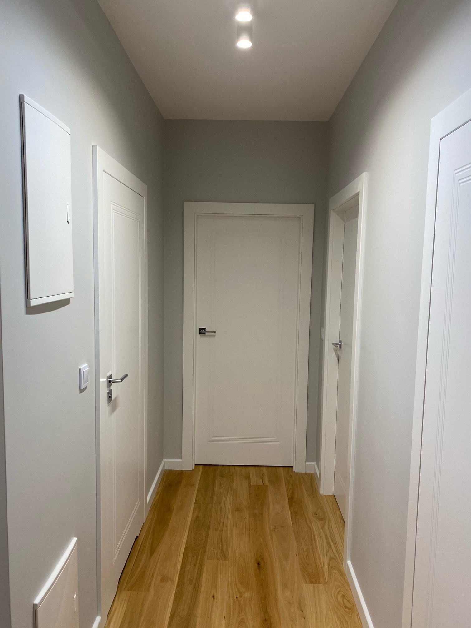 Korytarz w odcieniach szarości z trzema białymi drzwiami i drewnianą podłogą, oświetlony dwoma punktowymi lampami sufitowymi.