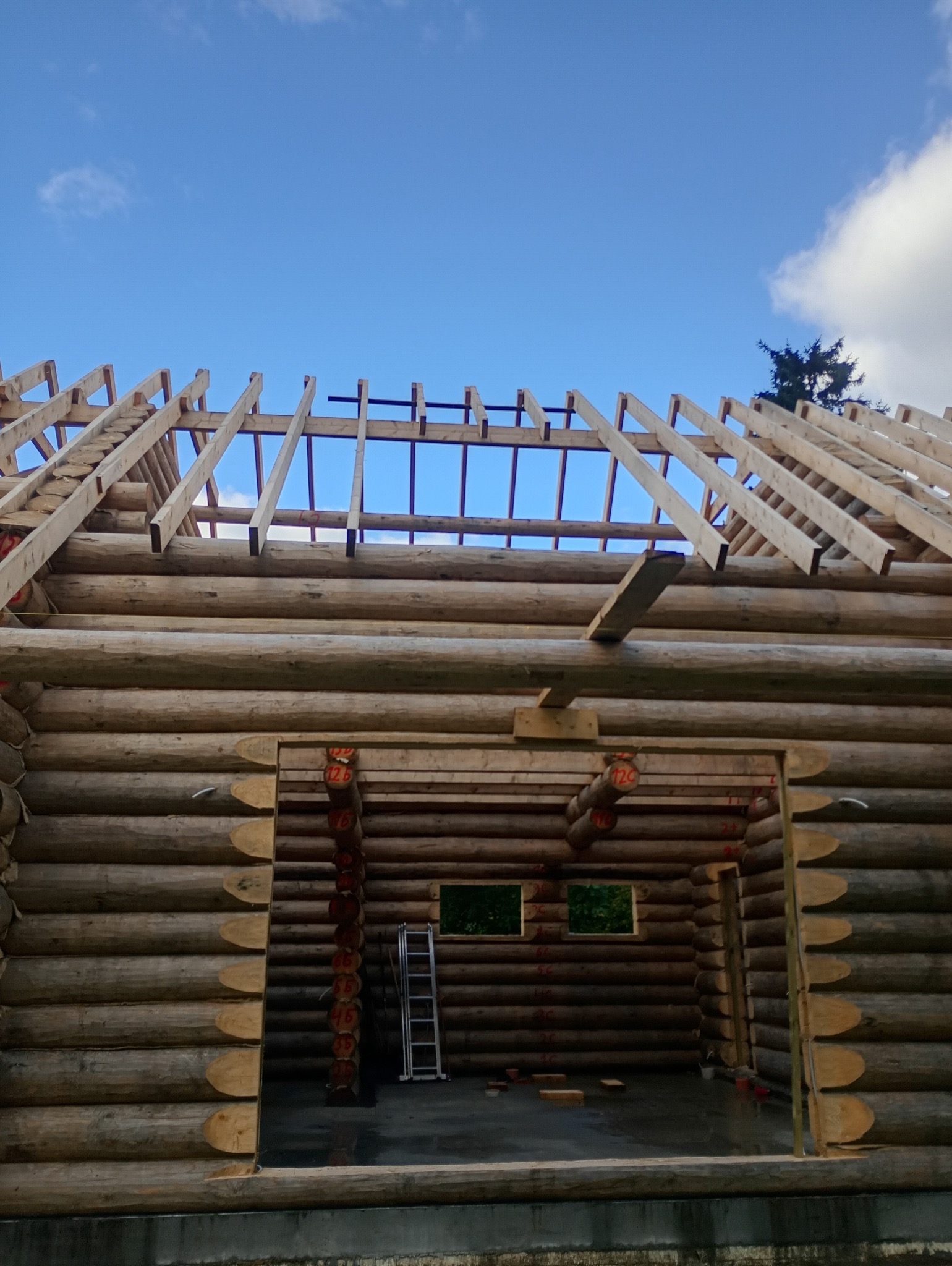 Drewniany dom w trakcie budowy: widok na ściany z bali i konstrukcję dachu na tle błękitnego nieba. Wewnątrz widoczna drabina i okna.