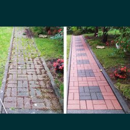 Lew Król Twojego Ogrodu - Porównanie stanu chodnika z kostki brukowej przed i po czyszczeniu: zarośnięta, brudna powierzchnia kontra odnowiona, kolorowa ścieżka z czerwono-szarymi kostkami.