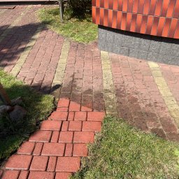 Lew Król Twojego Ogrodu - Częściowo umyta czerwona kostka brukowa sąsiadująca z trawnikiem i ścianą budynku, widoczna różnica w czystości kostki.