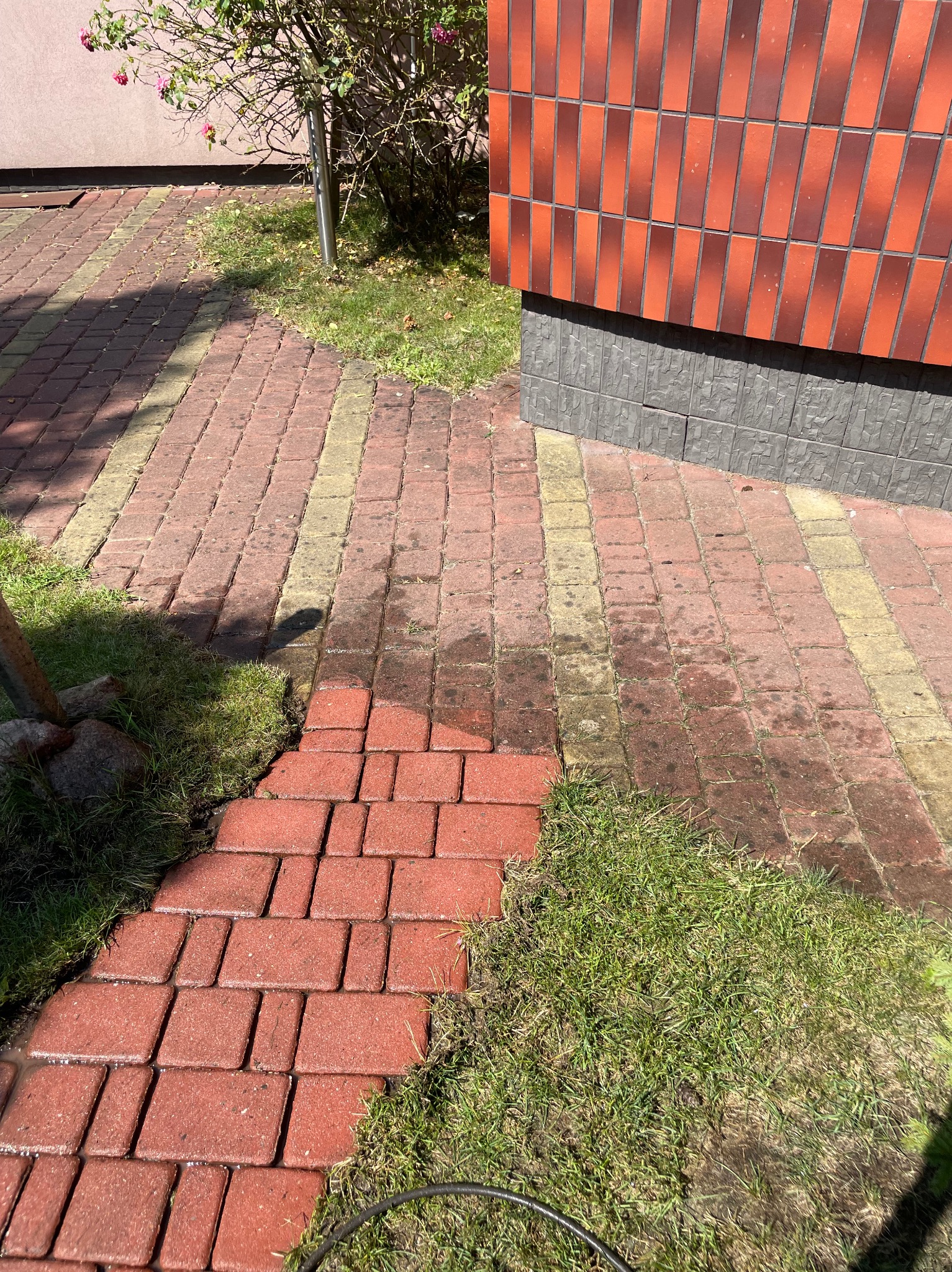 Częściowo umyta czerwona kostka brukowa sąsiadująca z trawnikiem i ścianą budynku, widoczna różnica w czystości kostki.