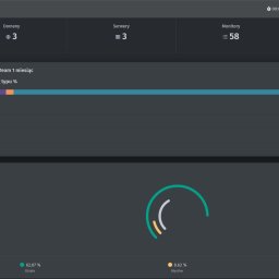 Hot Monitoring - Panel administracyjny systemu monitoringu z informacjami o domenach, serwerach, monitorach, stanie zadań oraz statystykami dotyczącymi typu monitoringu.