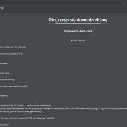 Raporty - Nagłówki HTTP