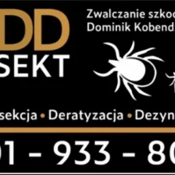 Grafika DDD Insekt: zwalczanie szkodników, dezynsekcja, deratyzacja, dezynfekcja. Kontakt: 501-933-805. Białe grafiki kleszczy na czarnym tle.