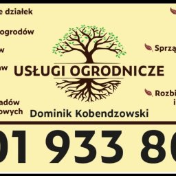 Dezynsekcja i deratyzacja Kraków 3