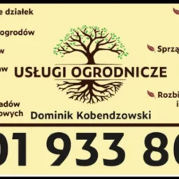 Grafika reklamowa usług ogrodniczych: karczowanie, pielęgnacja, ścinka drzew, koszenie, wywóz odpadów, praca koparką, sprzątanie, odśnieżanie, rozbiórki. Kontakt: 501 933 805.