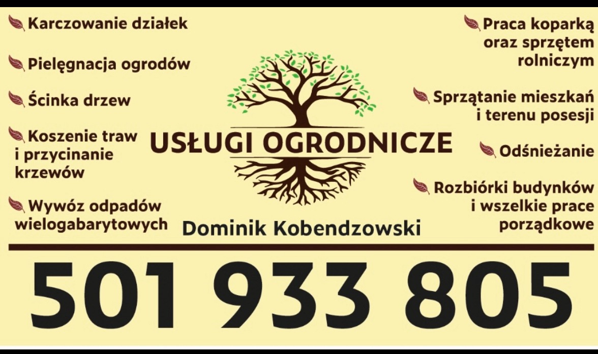Grafika reklamowa usług ogrodniczych: karczowanie, pielęgnacja, ścinka drzew, koszenie, wywóz odpadów, praca koparką, sprzątanie, odśnieżanie, rozbiórki. Kontakt: 501 933 805.