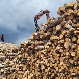 Pan Drewno - Skład drewna budowlanego oraz opałowego - Odpowiednie Drewno Konstrukcyjne w Mrągowie