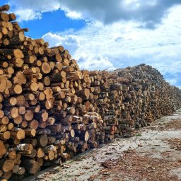 Pan Drewno - Skład drewna budowlanego oraz opałowego - Doskonałe Stolarstwo Mrągowo