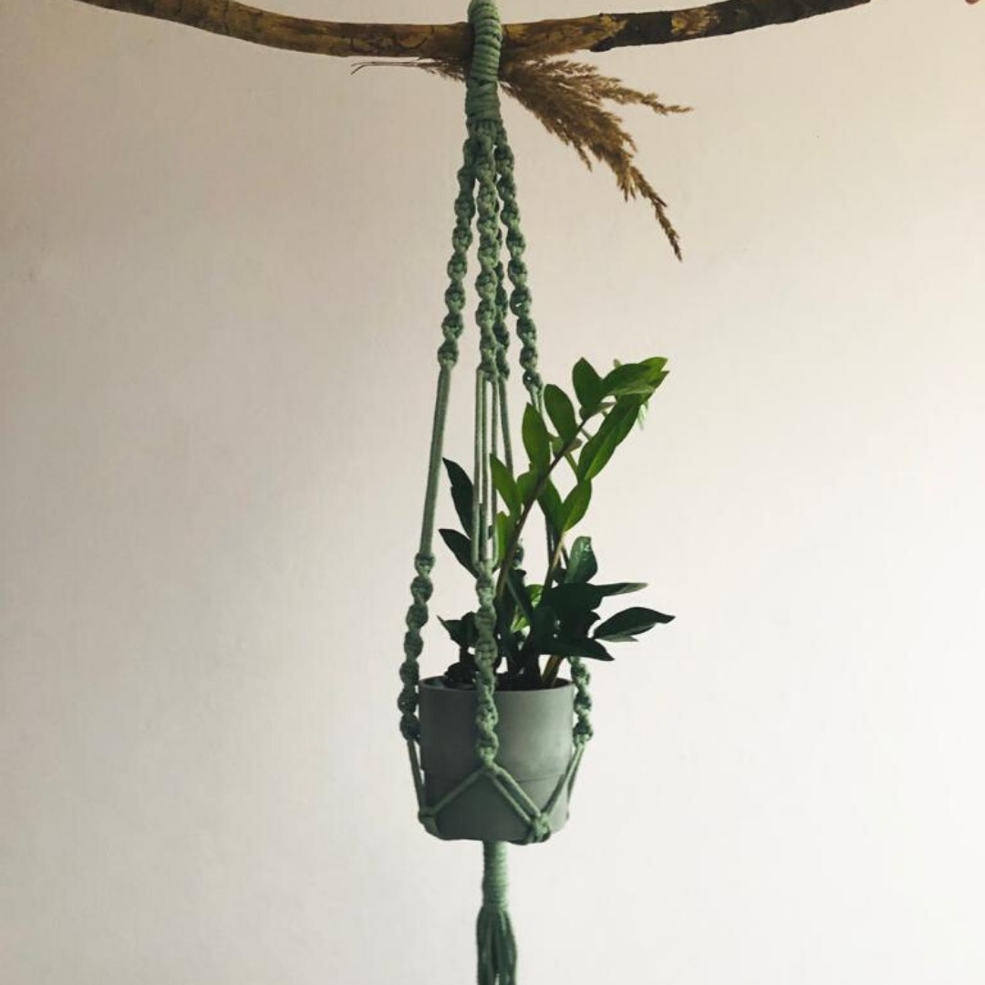 Ręcznie robiony, zielony kwietnik makrama z doniczką i rośliną, zawieszony na gałęzi na tle jasnej ściany.