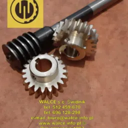 Prezentacja ślimaka i ślimacznic z logo firmy WALCE s.c. Świdnik, widoczne dane kontaktowe.