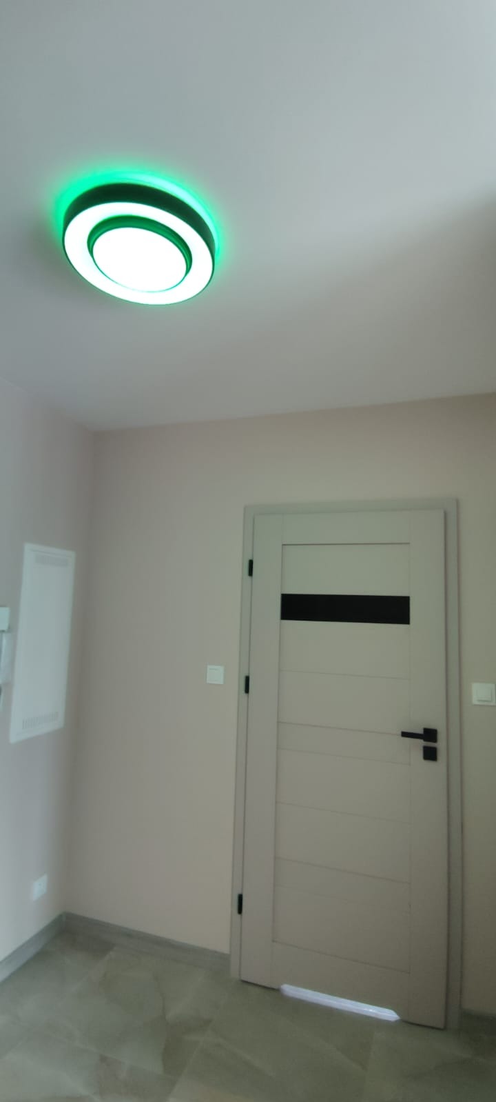 Zamknięte, szare drzwi z poziomym, czarnym pasem na tle beżowej ściany i podłogi z płytek. Okrągła lampa sufitowa z zieloną poświatą.