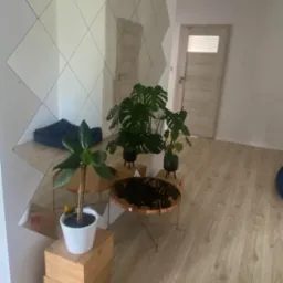 Jasne wnętrze z parkietem, dekoracyjnym lustrem na ścianie, roślinami doniczkowymi na stolikach kawowych z miedzianymi blatami oraz widocznymi drzwiami.