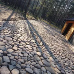 Ścieżka z szarych kamieni prowadząca do drewnianej altanki w lesie, widoczne długie cienie drzew.