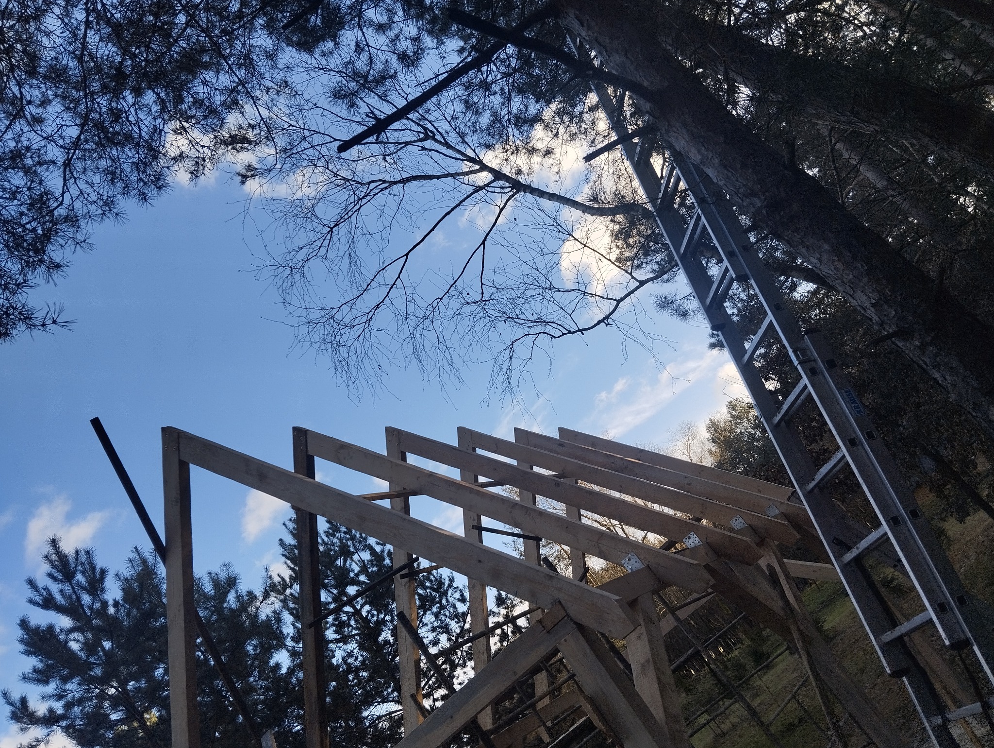 Konstrukcja drewniana dachu w trakcie budowy, widok z dołu na niebieskie niebo z chmurami, z widoczną aluminiową drabiną opartą o drzewo.