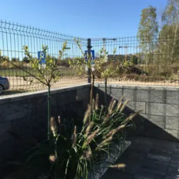 Dwa młode drzewka podparte zielonymi tyczkami, rosnące w rabacie z ozdobną trawą i białymi kamykami, na tle szarego murku z bloczków betonowych i metalowej siatki ogrodzeniowej.