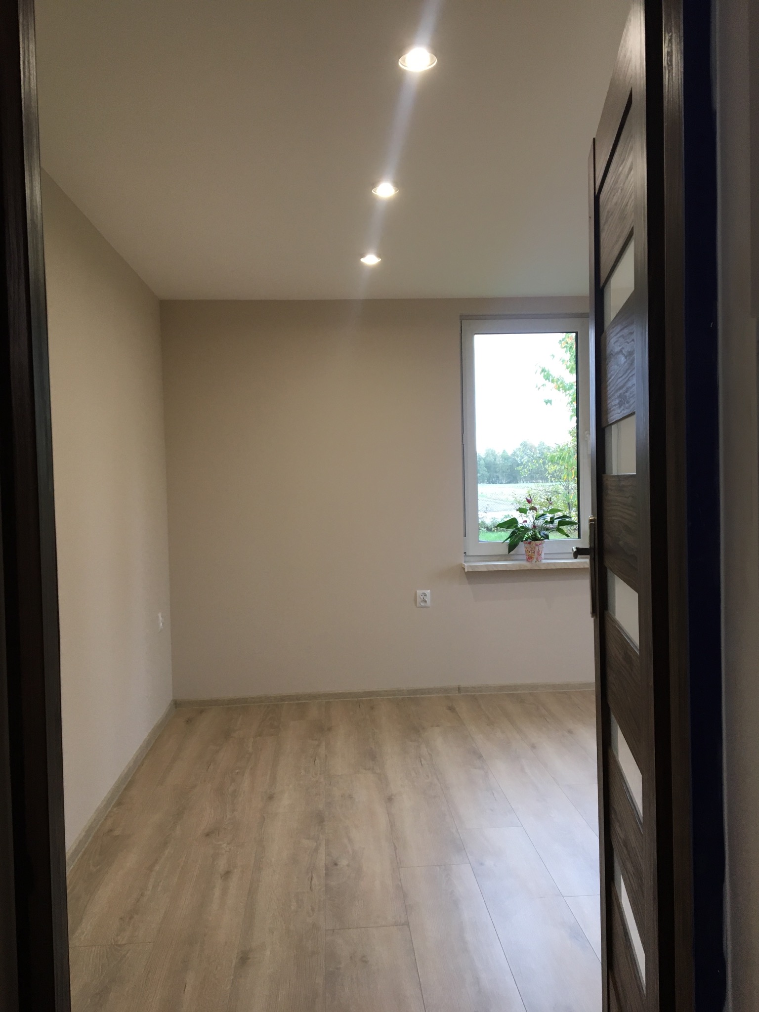 Wnętrze pokoju z jasnymi ścianami, panelami podłogowymi imitującymi drewno, oknem z kwiatem i otwartymi, ciemnymi drzwiami z przeszkleniami.