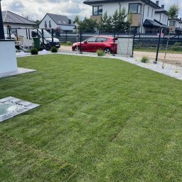 AGRO-PARK - Zadbany trawnik z widocznymi śladami koszenia, otoczony białym kamieniem i niskimi krzewami, na tle nowoczesnych domów jednorodzinnych w słoneczny dzień.