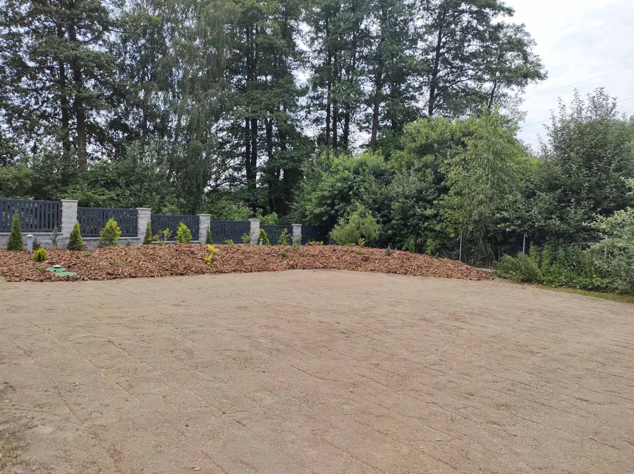 Przygotowany teren pod trawnik z widocznymi śladami po bronowaniu, obrzeża z kory i nasadzeniami wzdłuż ogrodzenia. Tło stanowią drzewa.