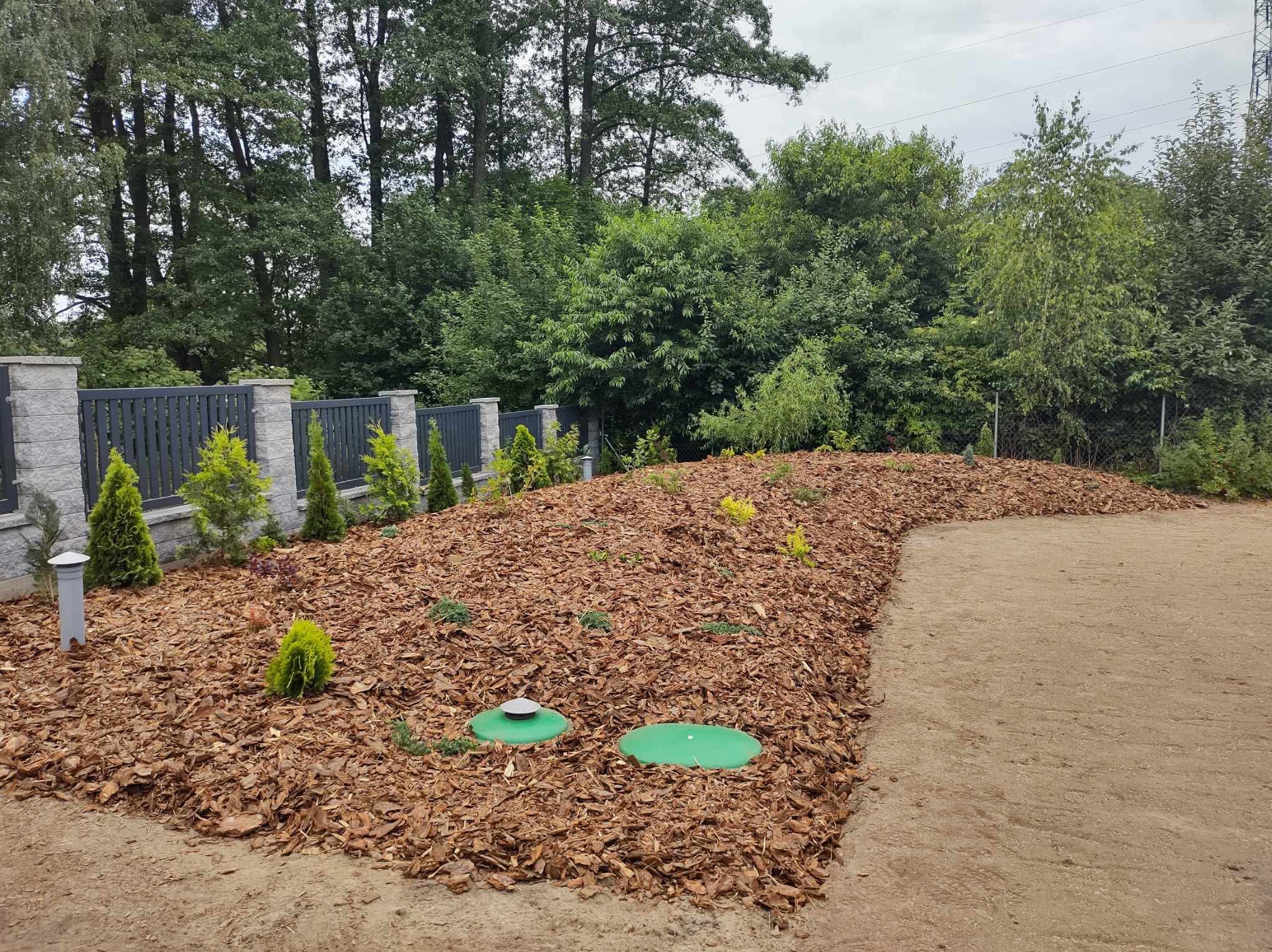 Świeżo założony ogród z korą, młodymi drzewkami iglastymi i zielonymi pokrywami studzienek. W tle szary płot i drzewa.