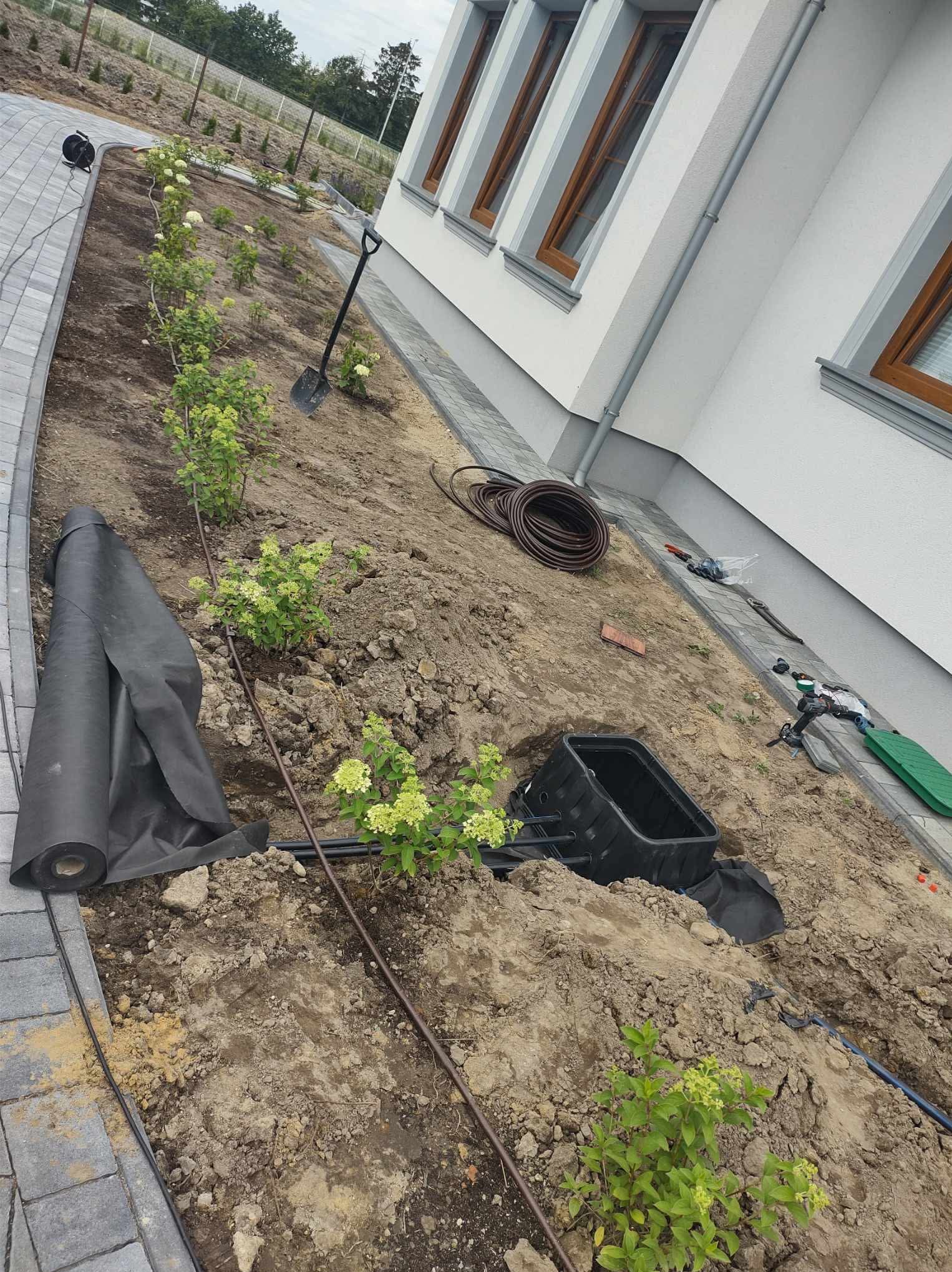 Montaż systemu nawadniania w Łodzi: widoczne rury, czarna skrzynka, rozłożona agrowłóknina i posadzone krzewy hortensji wzdłuż ścieżki z kostki brukowej przy budynku.