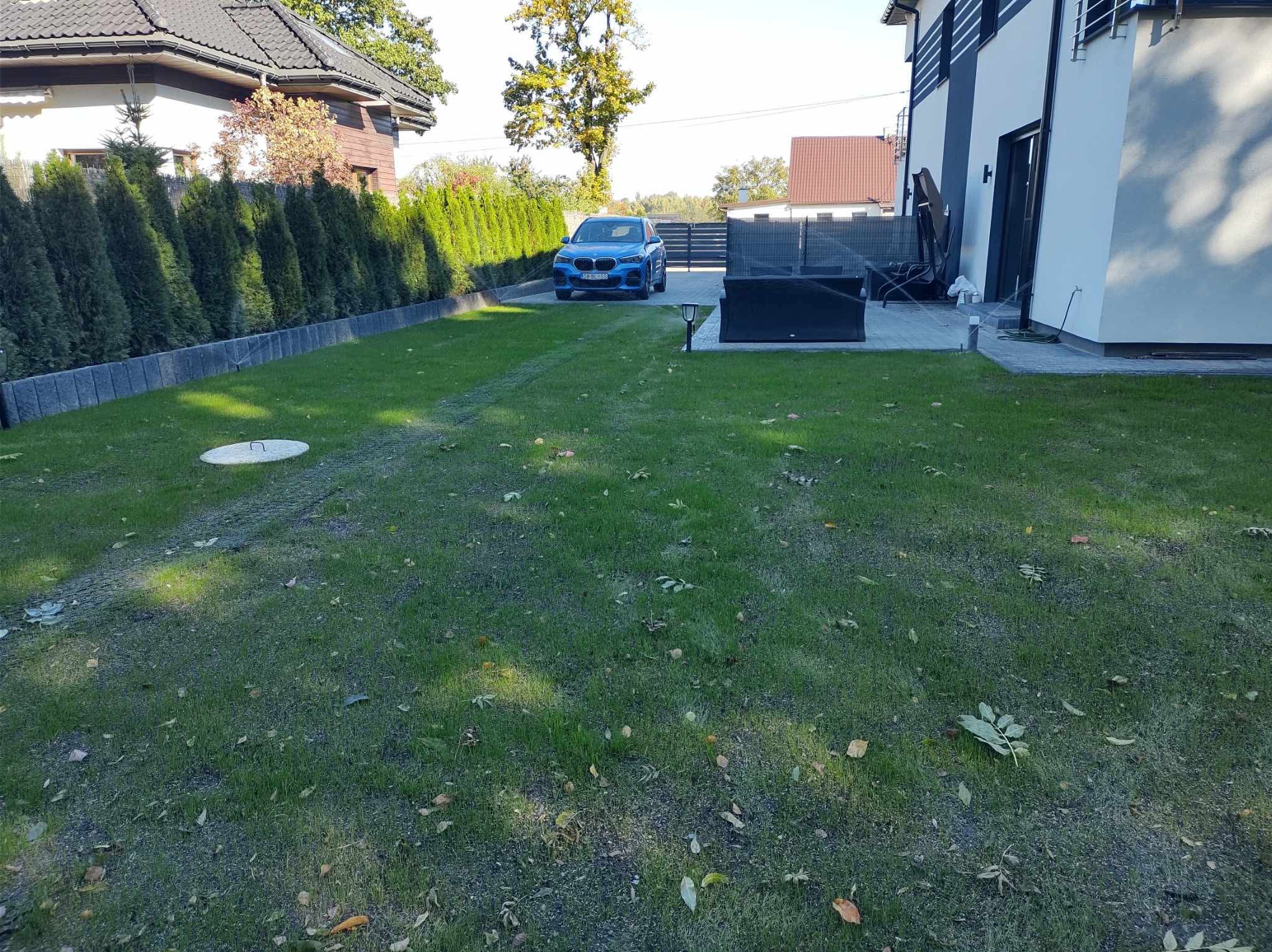Nawodniony trawnik z widocznymi śladami kół, otoczony tujami i nowoczesnym domem. W tle zaparkowany niebieski samochód. Widoczne zraszacze.
