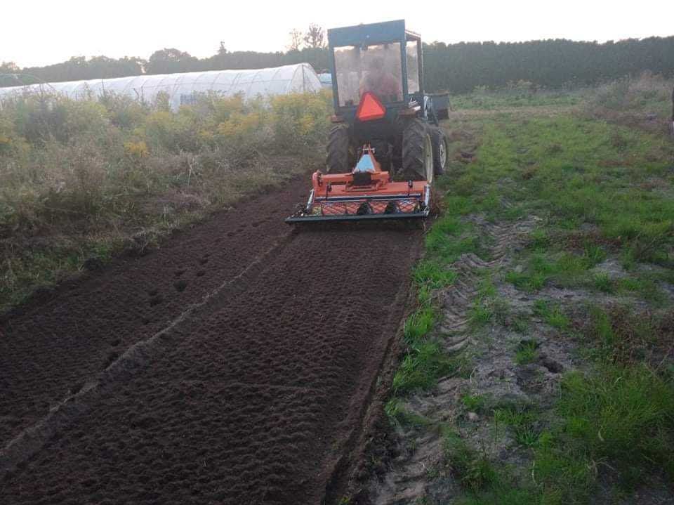 Traktor z glebogryzarką spulchnia ziemię na polu, przygotowując ją pod uprawę. Widoczne świeżo obrobione pasy ziemi i ślady opon. W tle szklarnia.
