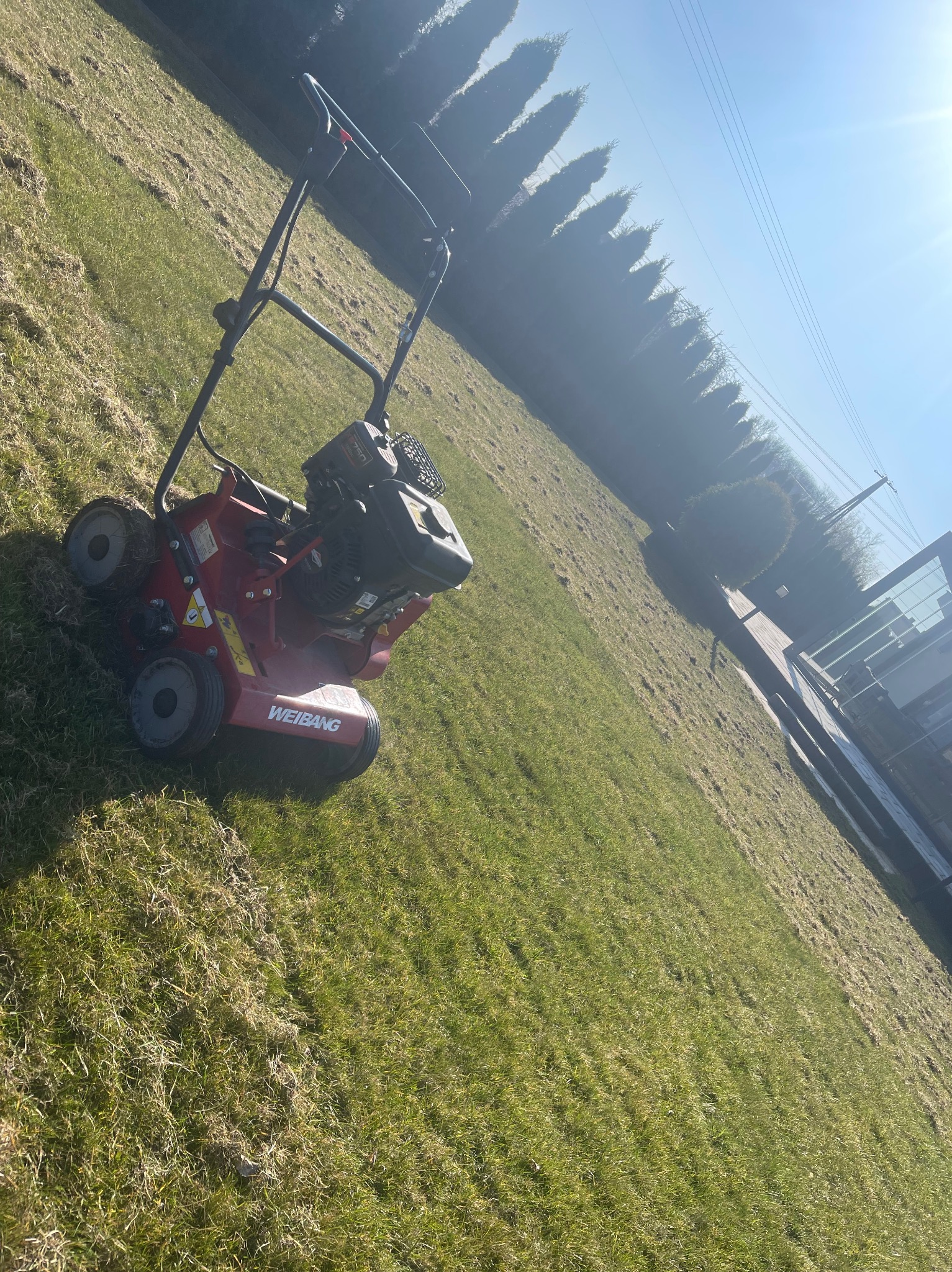 Aerator spalinowy marki Weibang na trawniku z widocznymi śladami aeracji. W tle rząd drzew iglastych i fragment budynku. Słoneczny dzień.