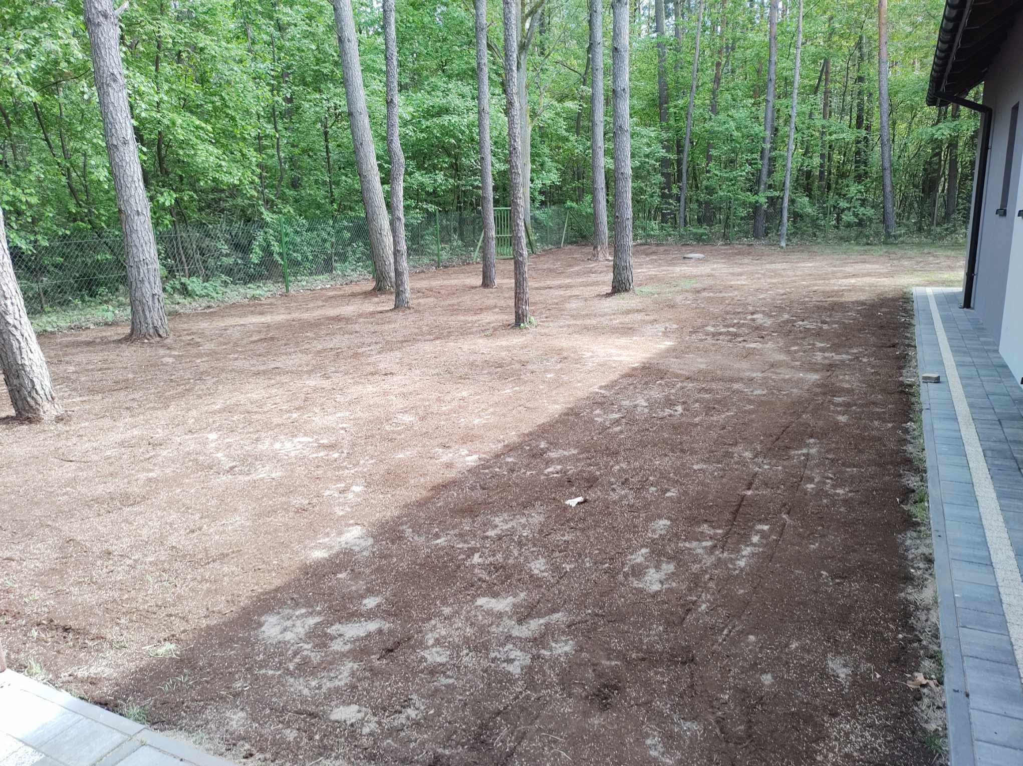 Teren po aeracji i dosiewce trawy, widoczne drzewa na działce, obok budynku. Przygotowanie podłoża pod trawnik, widok z góry.