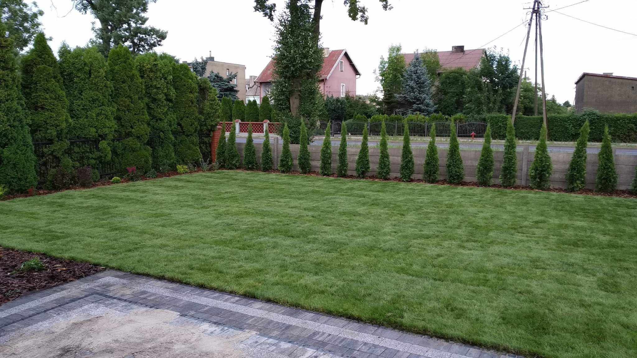 Zadbany trawnik z równo przystrzyżoną trawą, obrzeża z kostki brukowej, rząd tuj wzdłuż ogrodzenia. W tle zabudowa jednorodzinna.