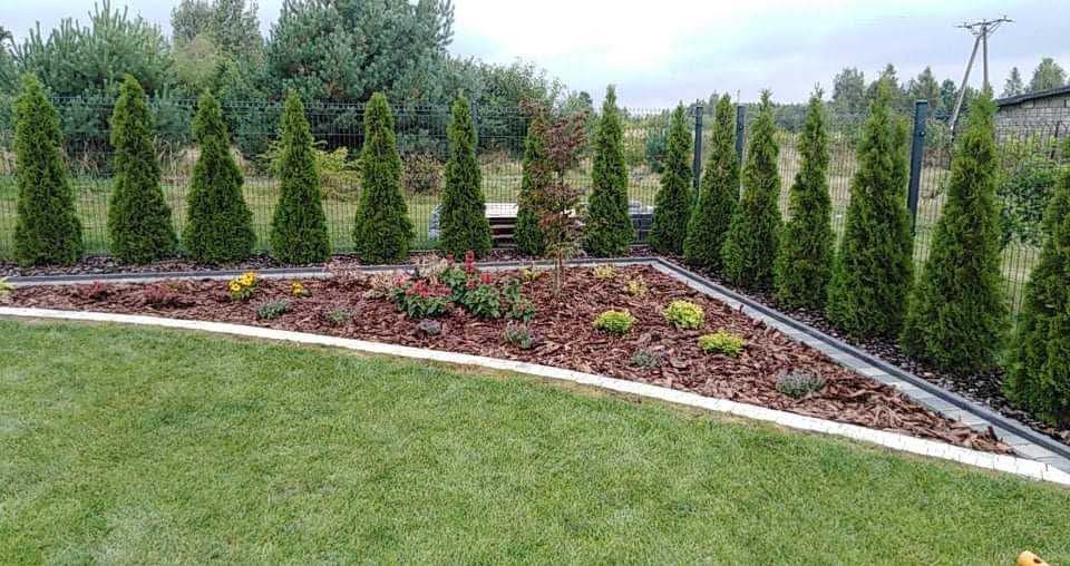 Kształtna rabata z korą i roślinami, obrzeża z kostki, rząd tuj wzdłuż ogrodzenia z siatki. Zadbany trawnik na pierwszym planie. Estetyczny ogród.