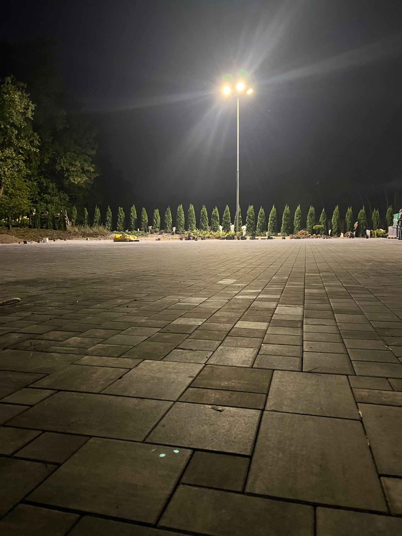 Ułożona kostka brukowa w nocy, oświetlona przez latarnię, z rzędem tuj w tle.