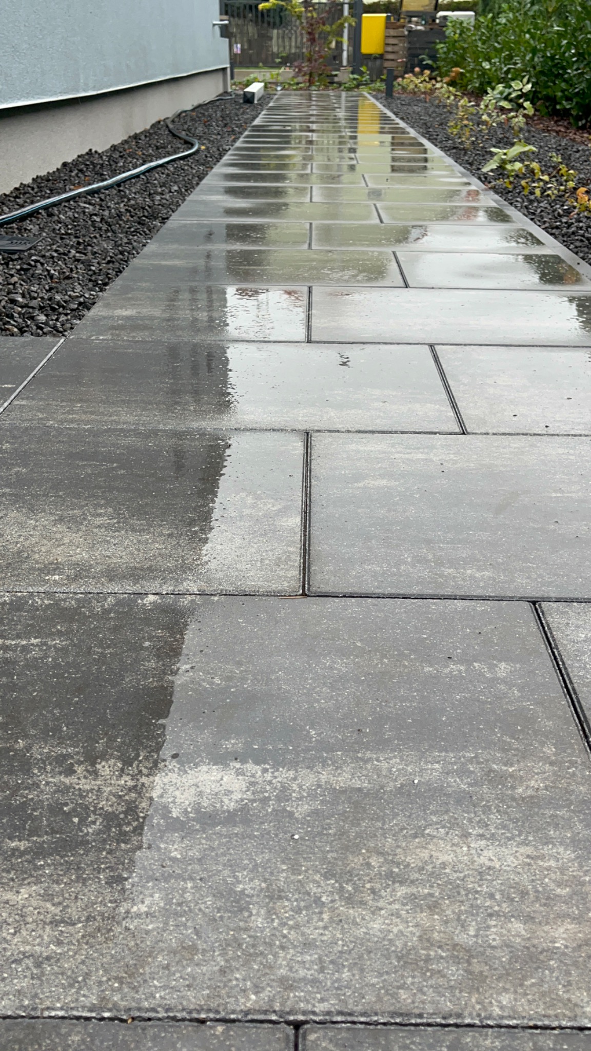 Świeżo ułożony, mokry chodnik z szarych, prostokątnych płyt betonowych z wąskimi fugami, obramowany czarnym żwirem i zielenią, po deszczu.