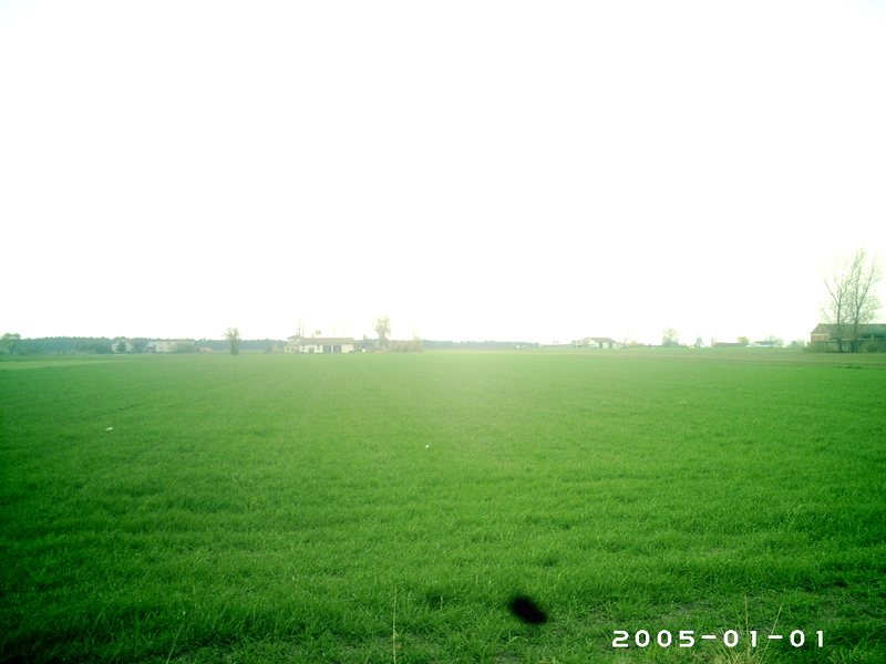 Rozległe pole zielonej trawy w centralnej Polsce, z budynkami gospodarczymi i drzewami w oddali pod pochmurnym niebem, sfotografowane 1 stycznia 2005.